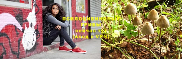 мескалин Надым