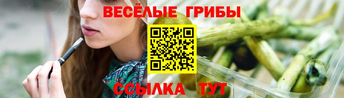 как найти закладки  Галлюциногенные грибы MAGIC MUSHROOMS  Вход с VPN  Троицк 